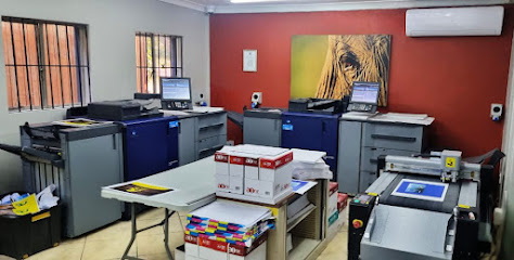 678 Windsor Street, Garsfontein Pretoria South Africa, Garsfontein, Pretoria, 0042