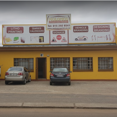 17 Tokyo Sexwale Ave, Seshego-B, Polokwane, 0742